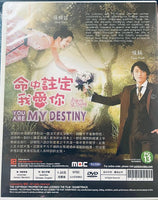 YOU ARE MY DESTINY 2008 DVD (KOREAN DRAMA )1-20 end WITH ENGLISH SUBTITLES  (ALL REGION) 命中註定我愛你