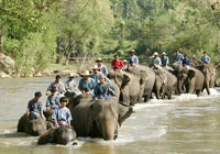 Shining Boy & Little Randy 2005 (Japanese Movie) DVD with English Subtitles (Region 3) 少年馴象師
