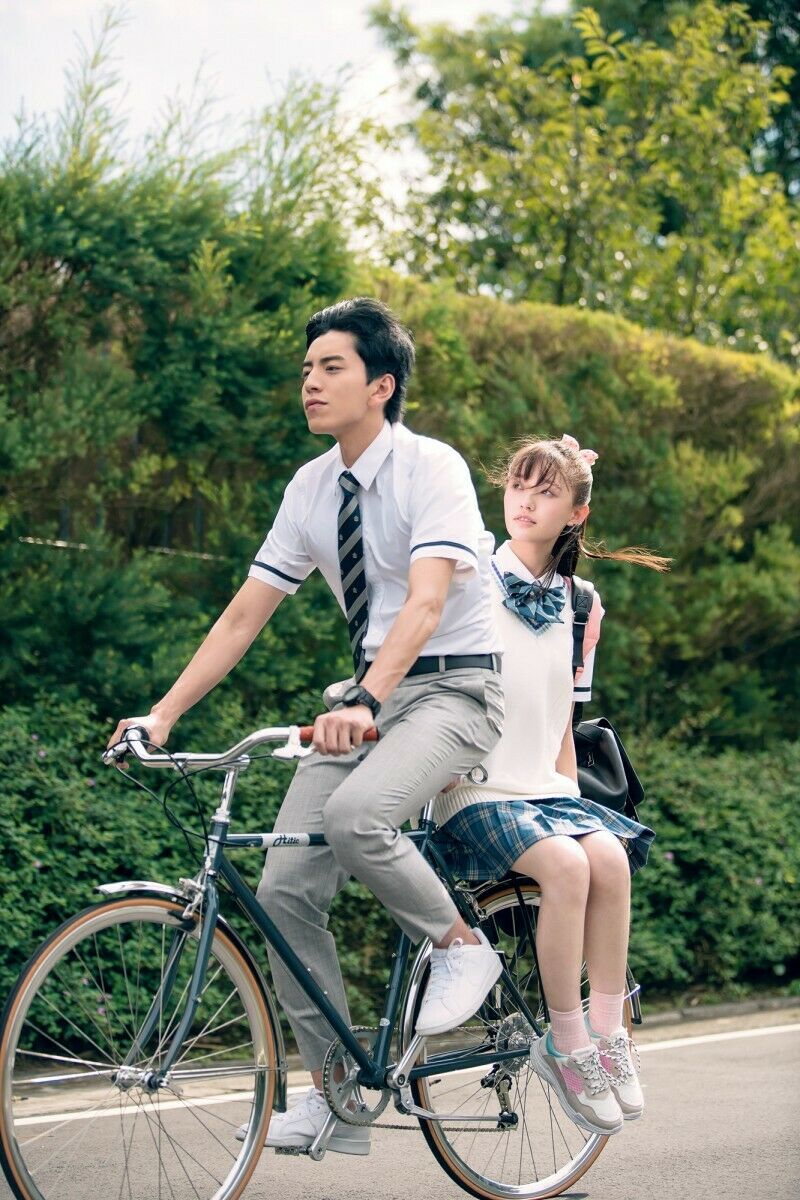 FALL IN LOVE AT FIRST KISS 一吻定情2019 (Mandarin Movie) DVD