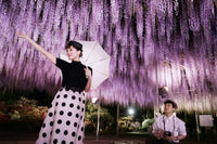 Color Me True 星光奇遇結良緣 2018 (Japanese Movie) BLU-RAY with English Sub (Region A)