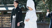 Close-Knit 當他們認真編織時 2017 (Japanese Movie) BLU-RAY with English Sub (Region A)