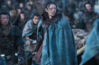 The Warrior And The Wolf 2009 (Mandarin Movie) DVD with English Subtitles (Region 3)  狼災記