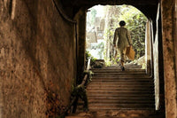 Our Time Will Come 明月幾時有2017 ( Hong Kong Movie) BLU-RAY with English Subtitles (Region A)