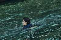 Manhunt 追捕 2017 John Woo (BLU-RAY) with English Subtitles (Region A)