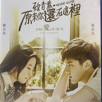 Never Gone 致青春。原來你還在這裡 2016  (Mandarin Movie) BLU-RAY with English Subtitles (Region A)