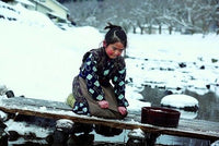 Oshin 2013 (Japanese Movie) DVD with English Subtitles (Region 3) 阿信的故事
