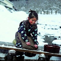 Oshin 2013 (Japanese Movie) DVD with English Subtitles (Region 3) 阿信的故事