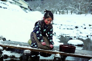 Oshin 2013 (Japanese Movie) DVD with English Subtitles (Region 3) 阿信的故事