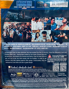 Young & Dangerous: The Prequel 新古惑仔之少年激鬪篇 2001 (Hong Kong Movie) BLU-RAY with English Subtitles (Region A)