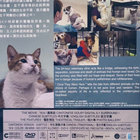 ONCE THEY WERE HERE 告訴世界我來過 2022 (Hong Kong Documentry) DVD ENGLISH SUB (REGION 3)