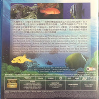 Fascination Coral Reef 3D : Mysterious Under Water (3D+2D) BLU-RAY (Region A)