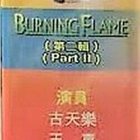 BURNING FLAME 1998 烈火雄心 PART 2 end TVB (5DVD) NON ENGLISH SUB (REGION FREE)