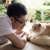 Neko Atsume House 貓咪收集之家 2017 (Japanese Movie) BLU-RAY with English Sub (Region A)