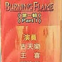 BURNING FLAME 1998 烈火雄心 PART 1 TVB (4DVD) NON ENGLISH SUB (REGION FREE)