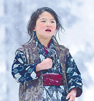 Oshin 2013 (Japanese Movie) DVD with English Subtitles (Region 3) 阿信的故事
