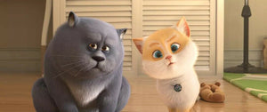 CATS 貓咪媽咪 Home 2018 (Animation) DVD ENGLISH SUBTITLES (REGION FREE)