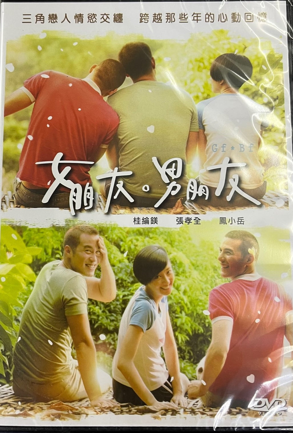 GF.BF 女朋友。男朋友 2012 (Mandarin Movie) DVD ENGLISH SUBTITLES (REGION 3)