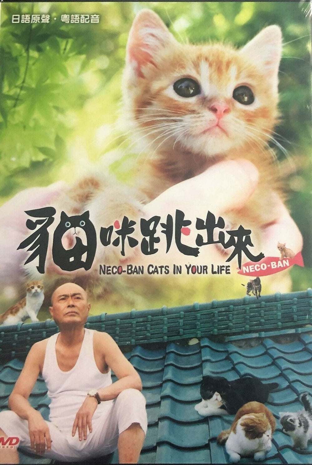 NECO-BAN CATS IN YOUR LIFE 貓咪跳出來 2010 (JAPANESE) DVD ENGLISH SUB (REGION 3)