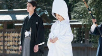 Close-Knit 當他們認真編織時 2017 (Japanese Movie) BLU-RAY with English Sub (Region A)
