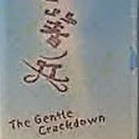 THE GENTLE CRACKDOWN 秀才遇着兵 2005 TVB (5DVD) ENGLISH SUBTITLES (REGION FREE)